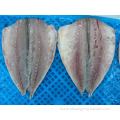 Frozen Mackerel Flaps Oem Size 150-200 200-300g